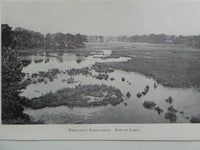1901 WEEQUAHIC RESERVATION Lake Photograph Essex County New Jersey Parks Print