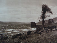 1925 LAKE GENNESARET Kinneret Sea Galilee Israel Landscape Photogravure Print