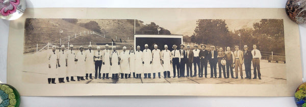 Vintage SHELL OIL COMPANY Employees Lake Elsinore BARBEQUE PANORAMA Photograph