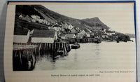 1950 1st Ed Newfoundland 10th Province Of Canada John Parker Photographs History