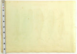 1821 Wilmsen Large Antique Print TUNA GURNARD PIKE SPOTTED FANFISH REMORA Fish