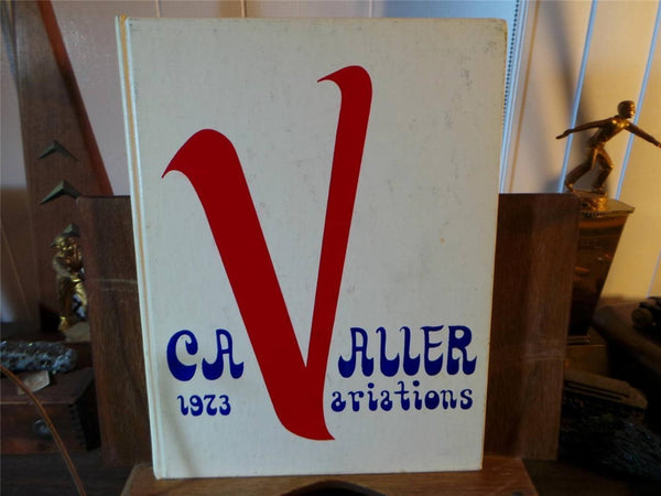 1973 MIDDLETOWN HIGH SCHOOL Delaware Original YEARBOOK Annual The Cavalier