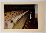 1954 PRC CHINA EMBASSY PROPAGANDA Russian Harbin Flax Mill Photograph Plate