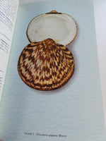 1958 1st SEA SHELLS Tropical West AMERICA Marine Mollusks California Colombia
