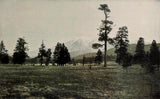 1898 SAN FRANCISCO VOLCANOES Field Arizona Stratovolcano Peaks Color Photo Print