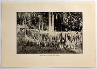 1916 One Days Catch Of Fish Fishing Village Photograph Philippine Islands Print