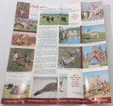 Vintage ALBERTA GAME FARM Canada Edmonton Welcome Brochure Wild Animal Park