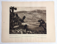 1925 SAMARIA HEROD'S HIPPODROME Photogravure Art Print WEST BANK Palestine