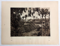 1925 GAZA STRIP Palestine Photogravure Photograph Architecture Landscape Palms