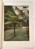 1912 Tree Fern Garden Shrubbery Nightingale Park Darjeeling India Chromolithogra