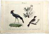 1821 Wilmsen Antique Hand Painted SECRETARY BIRD OSPREY SNOW OWL KINGBIRD