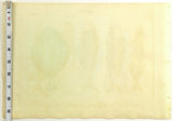 1821 Wilmsen Antique Print DRAGONET BANDFISH SCORPIONFISH EUROPEAN PLAICE Fish