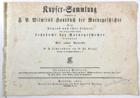 1821 Wilmsen Antique Print DRAGONET BANDFISH SCORPIONFISH EUROPEAN PLAICE Fish