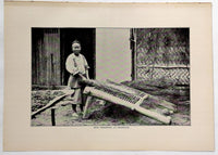 1901 Rice Threshing Shanghai China Photogravure Photograph
