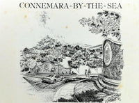 1980's Vintage Brochure CONNEMARA BY THE SEA San Juan Capistrano CA Ocean View