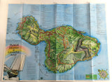 1979 MAUI Island & LAHAINA Aerial View Picture Map Blaise Domino Cartography