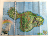 1979 MAUI Island & LAHAINA Aerial View Picture Map Blaise Domino Cartography