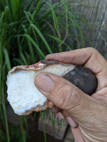 NUI MINYINTIRI Aboriginal KANTI QUARTZ KNIFE Ayers Rock Australia Elder Tracker