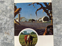 STOLTZFUS FARM Restaurant Advertisement Card Intercourse Pennsylvania Dutch